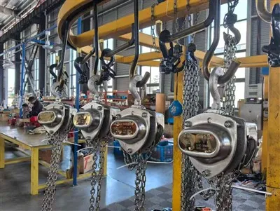 Bloc de lanț din oțel inoxidabil 0. 5T până la 20T